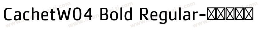 CachetW04 Bold Regular字体转换